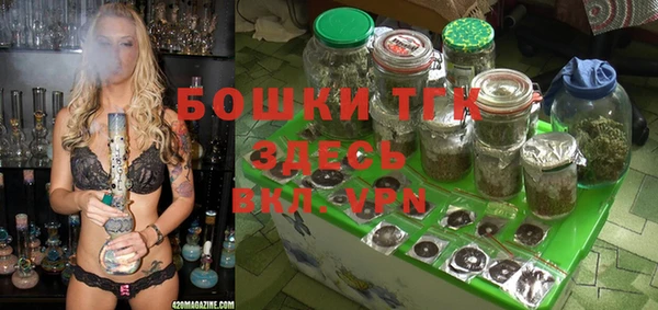 эйфоретик Богородск