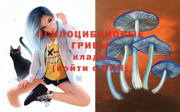 бутират Аркадак